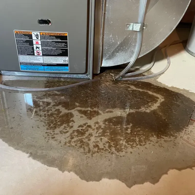 Appliance Leak Cleanup in Diboll, TX